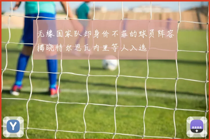 无缘国家队却身价不菲的球员阵容揭晓特尔恩瓦内里等人入选