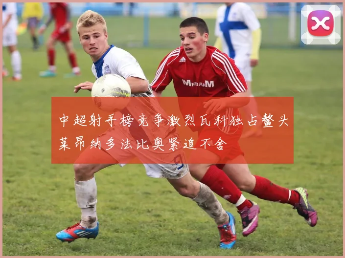 中超射手榜竞争激烈瓦科独占鳌头莱昂纳多法比奥紧追不舍