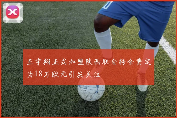 王宇翔正式加盟陕西联合转会费定为18万欧元引发关注